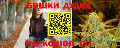 стаф Бердск