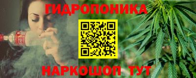 стаф Бердск