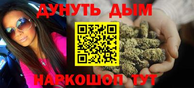 стаф Бердск