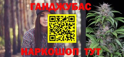 стаф Бердск