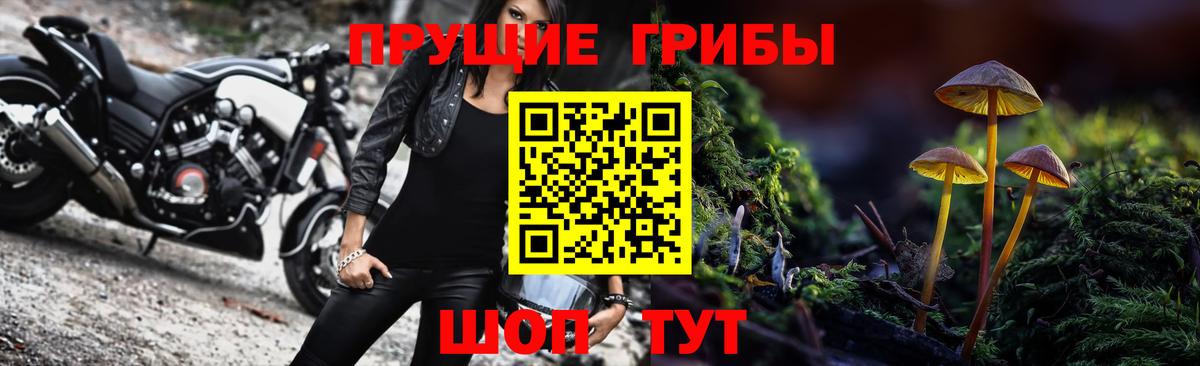 Белореченск  купить  цена  Псилоцибиновые грибы прущие грибы  Вход с VPN  Галлюциногенные грибы GOLDEN TEACHER 